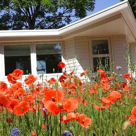 Het Findament Tiny House Villa Hilversum Exteriör bild